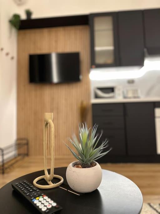 La Casa Di Marlu - Gorgeous Flat In Catania Centre Lägenhet Exteriör bild